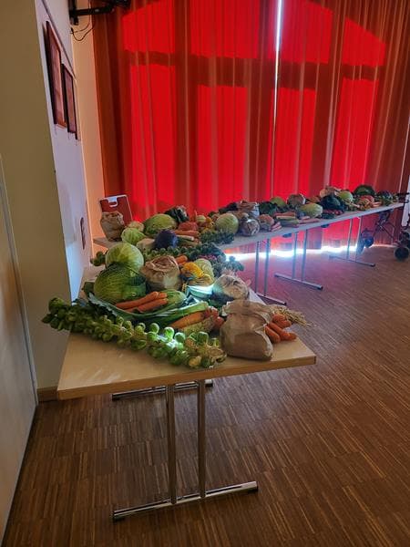 Bild1