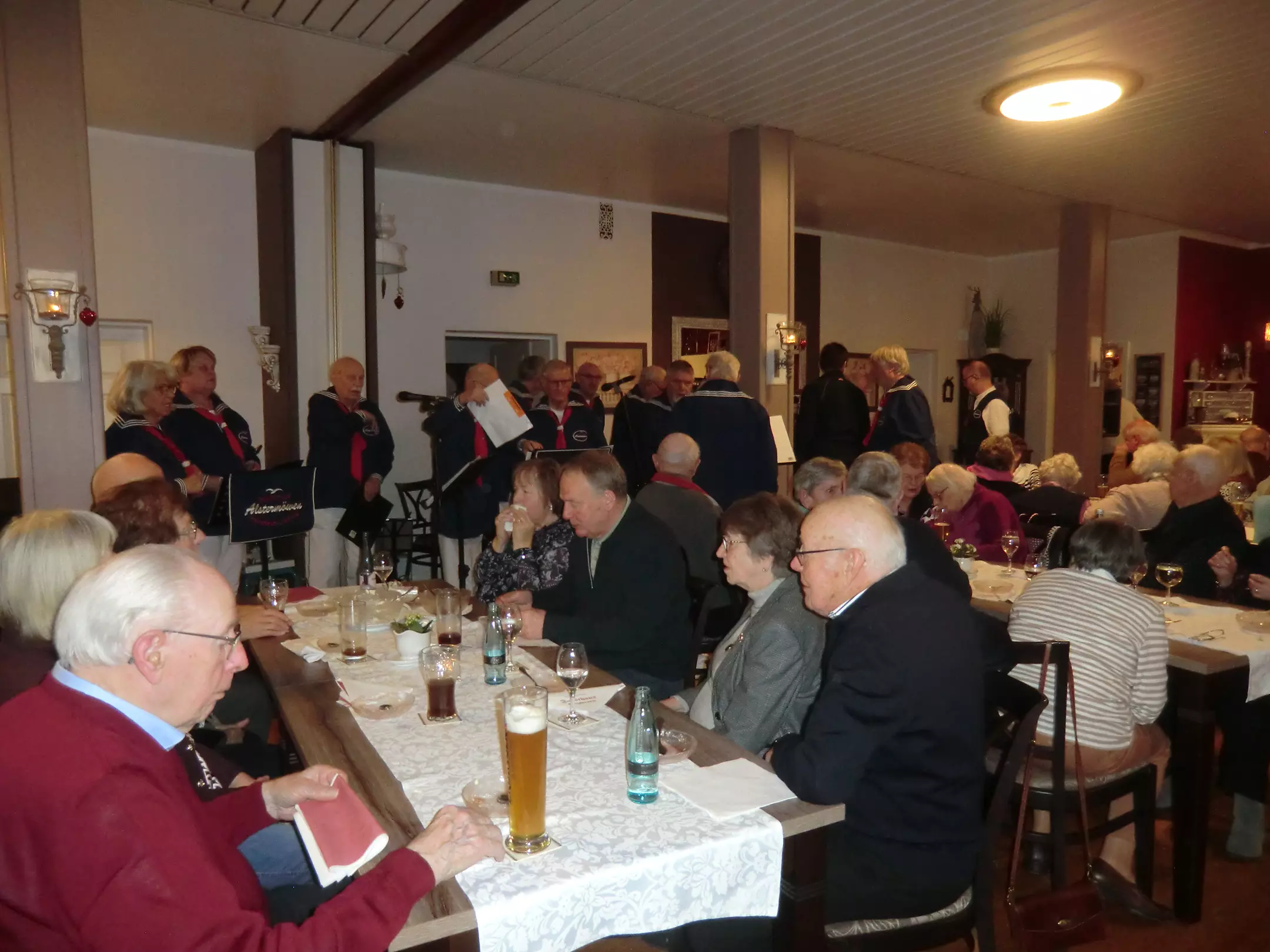 die Alstermöwen