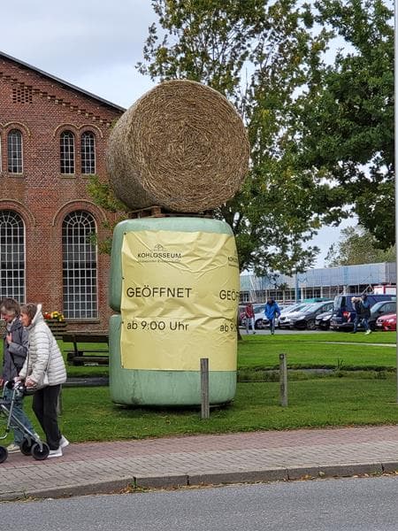 Bild6