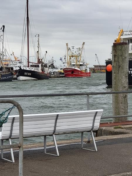 Bild63
