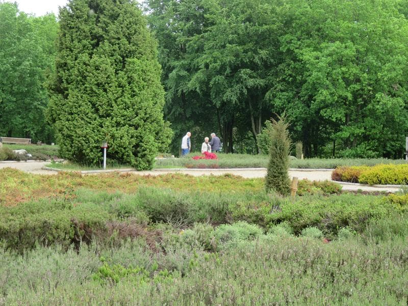 Bild41