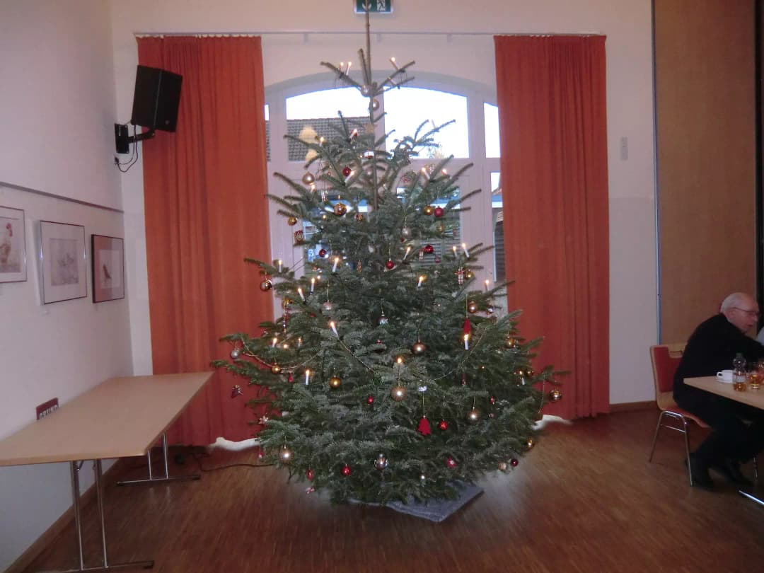 Weihnachtsbaum in der Hirten-Deel