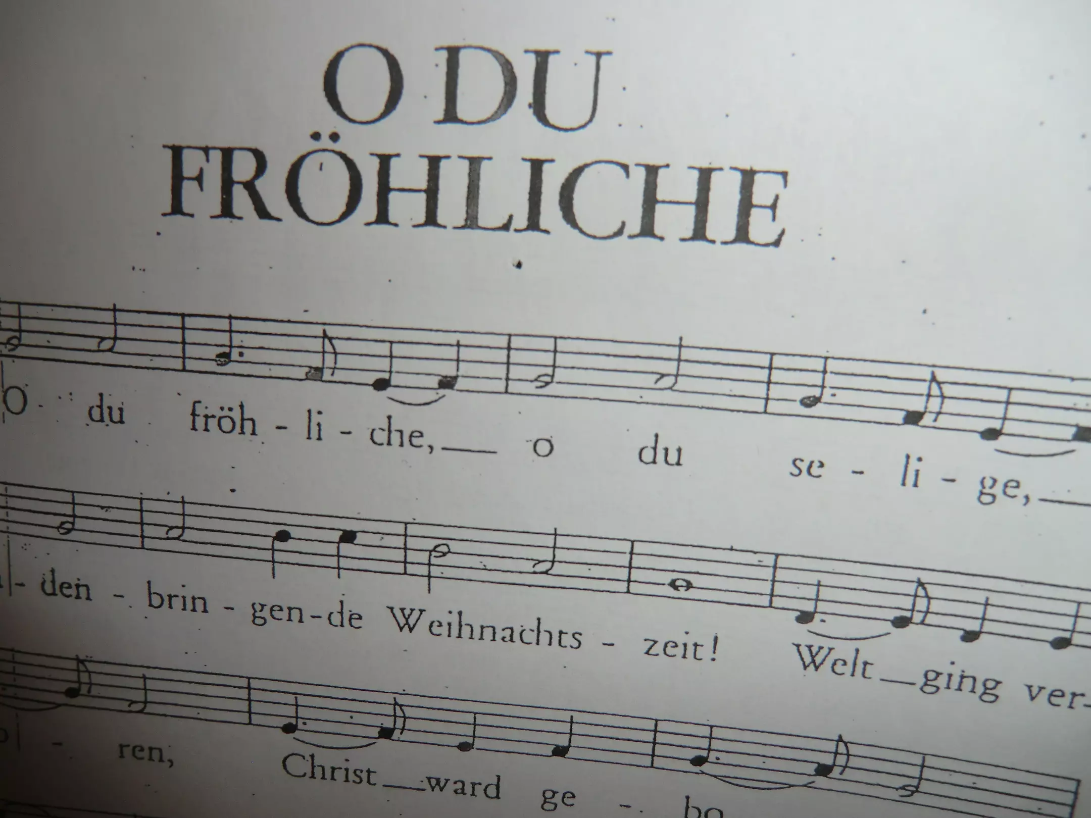 Bild W2025 23