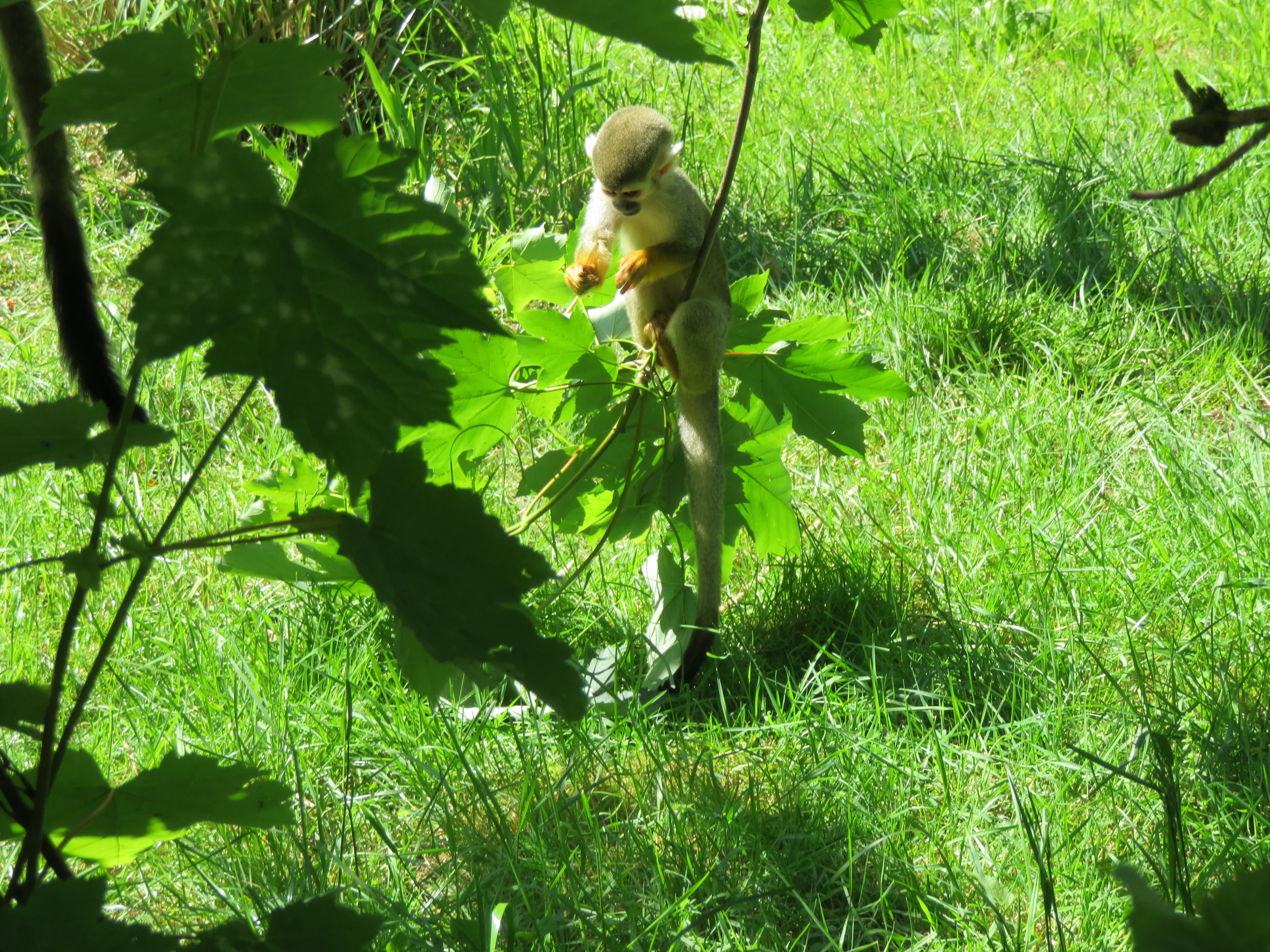 Bild 3