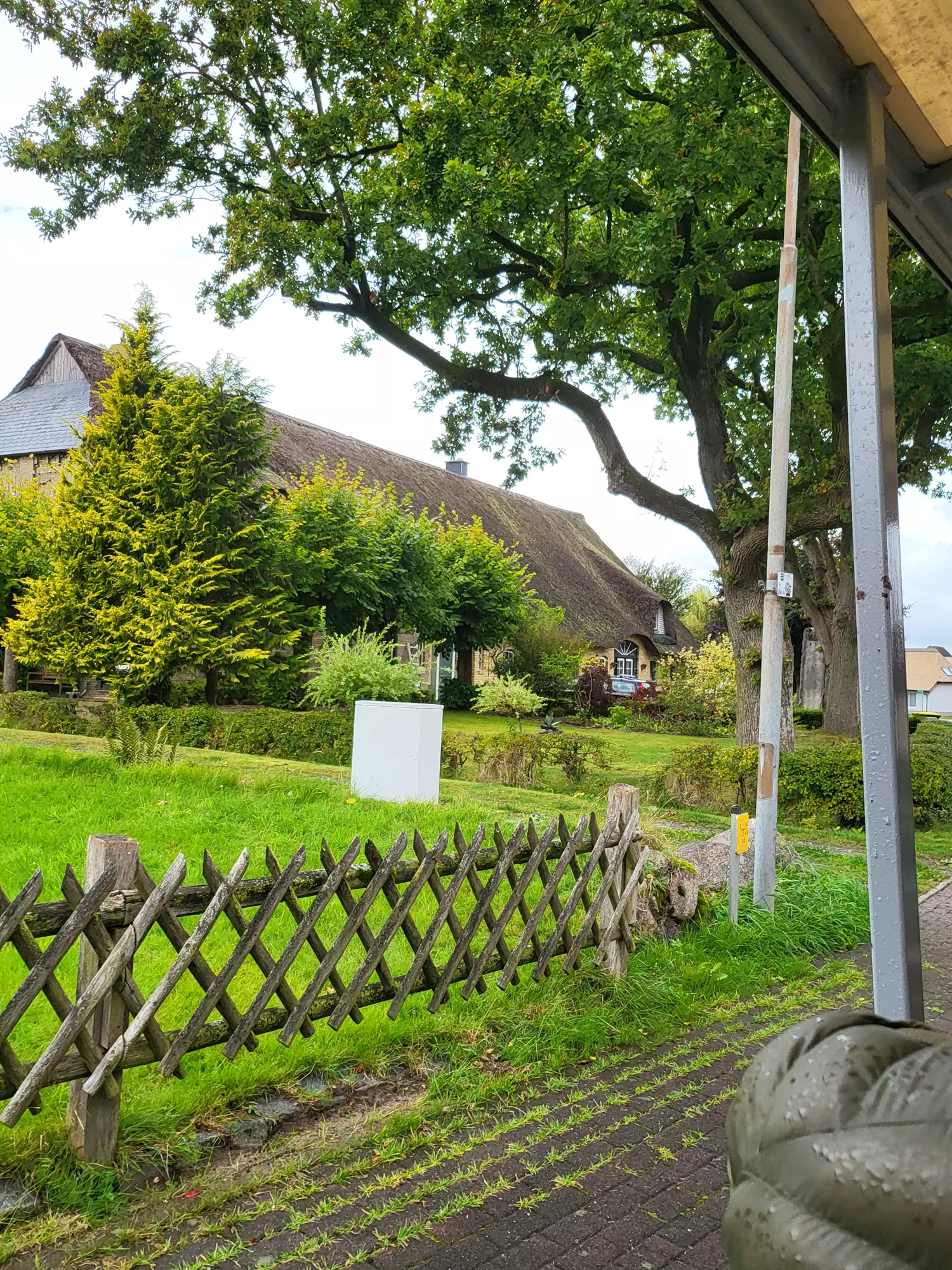 Bild25